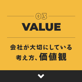 03bnr_value