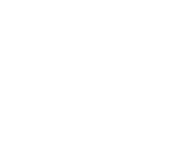03bnr_company01