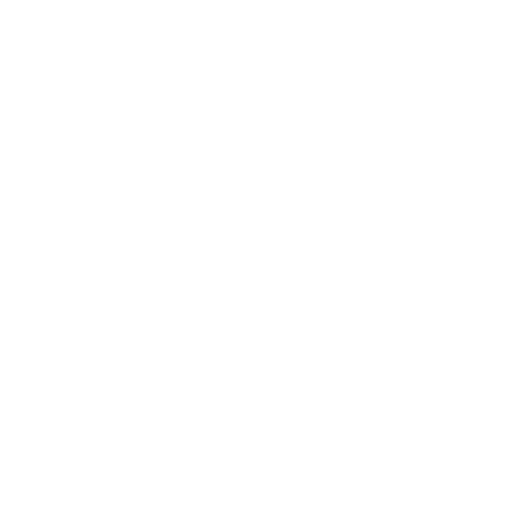 03bnr_website_01
